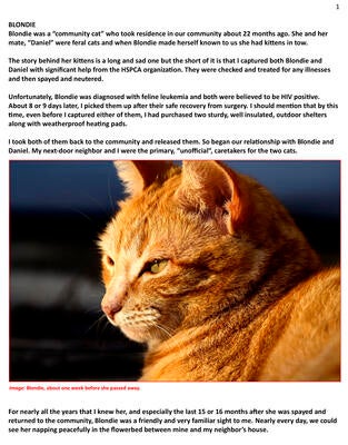 Memorial-image-of-Blondie