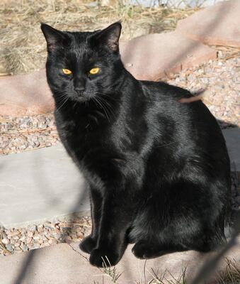 Memorial-image-of-Jack