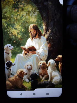 Memorial-image-of-Roxy,-Hannah,-Sierra,-sporty,-king,-muffin,-blacky