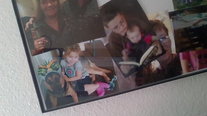 Memorial-image-of-mojo