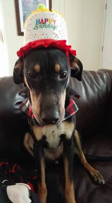 Memorial-image-of-Natasha-