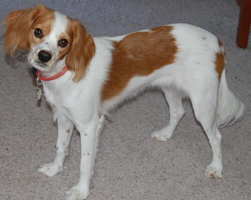 Memorial-image-of-Emily