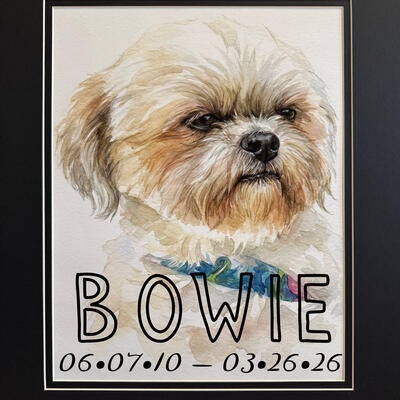 Memorial-image-of-Bowie