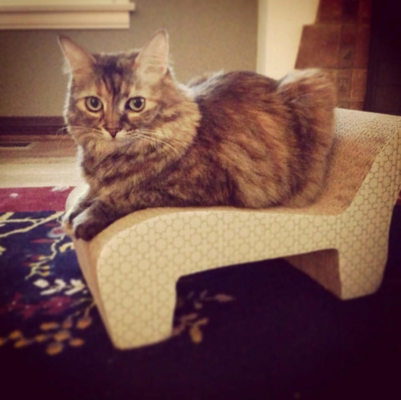 Memorial-image-of-Misa