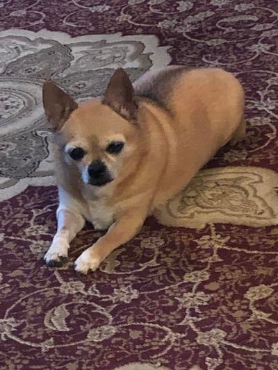 Memorial-image-of-DiDi-Wooten