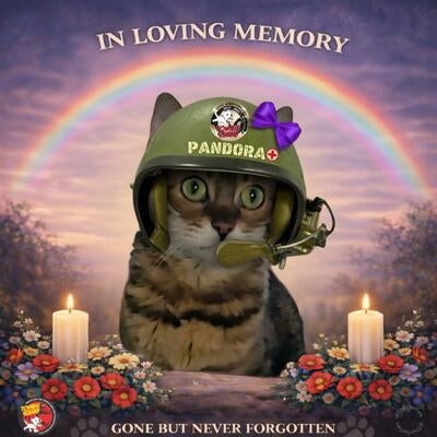 Memorial-image-of-Pandora-