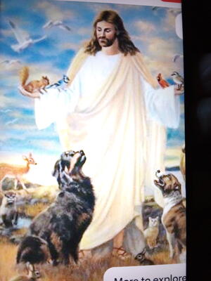 Memorial-image-of-Moby-dick