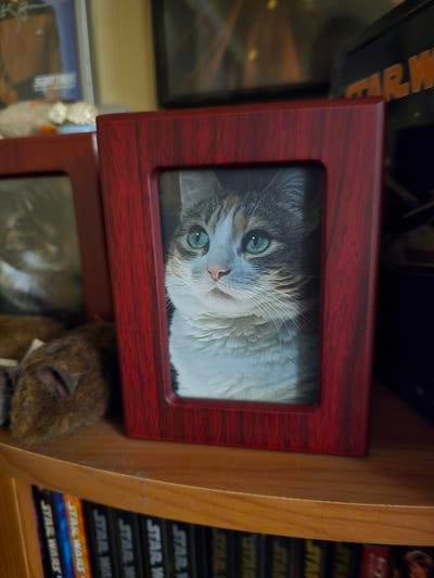 Memorial-image-of-Elinor