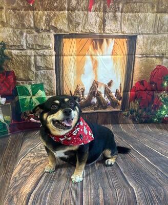 Memorial-image-of-Stella-