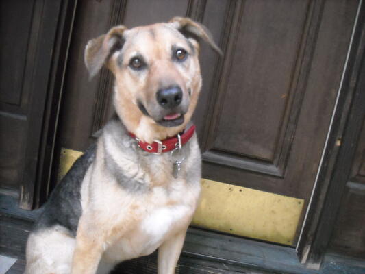 Memorial-image-of-Annie