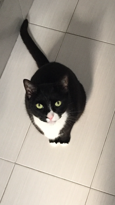 Memorial-image-of-Fiona