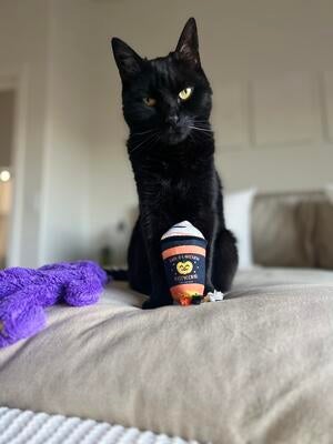 Memorial-image-of-Binks-Filippi