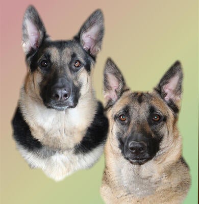 Memorial-image-of-Hilda-&-Greta