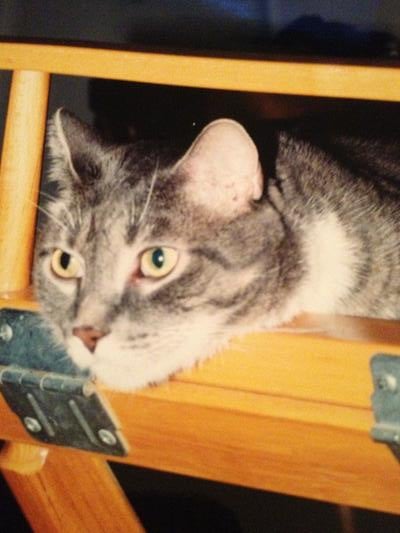 Memorial-image-of-Roscoe