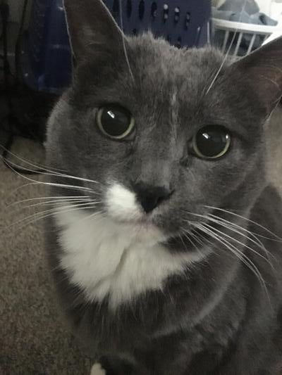 Memorial-image-of-Cutie