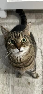 Memorial-image-of-Zoe
