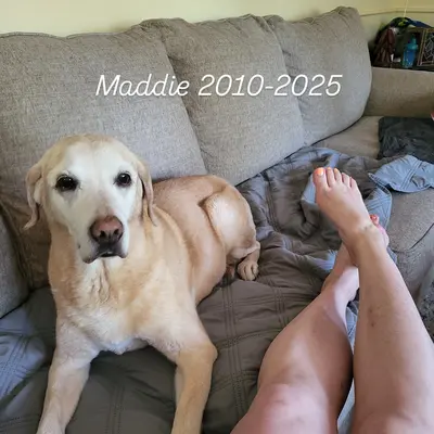 Memorial-image-of-Maddie-