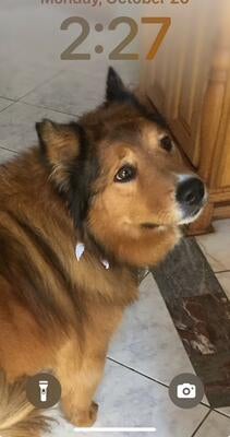 Memorial-image-of-Zak