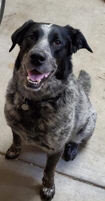 Memorial-image-of-Oliver
