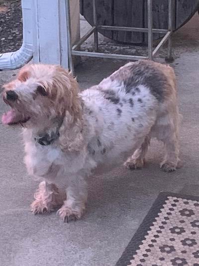 Memorial-image-of-Stella-Roo