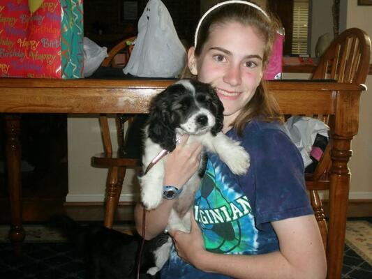 Memorial-image-of-Bailey