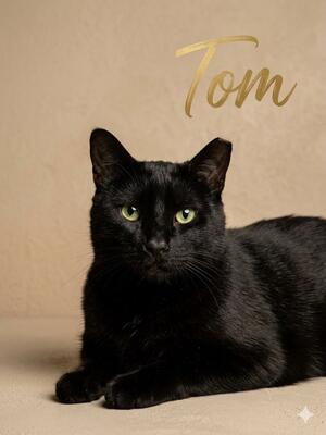 Memorial-image-of-Tom-Miller
