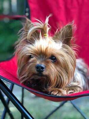 Memorial-image-of-Pippa-Viengmyxay-